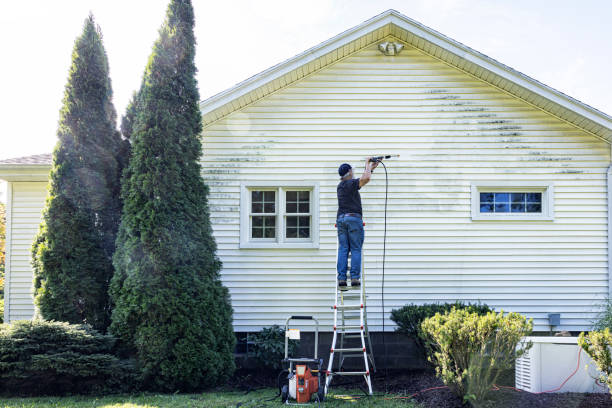 Best Roof Washing  in Fortuna, CA